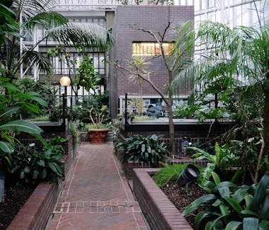 The Barbican Centre Conservatory