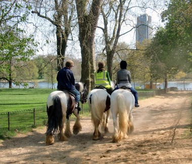 Hyde Park Stables