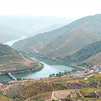 Miradouro Casal de Loivos