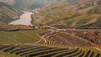 Miradouro da Abelheira