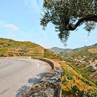 Estrada nacional 222 em Portugal