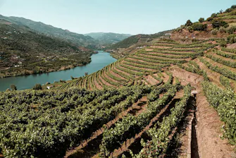Região do Douro