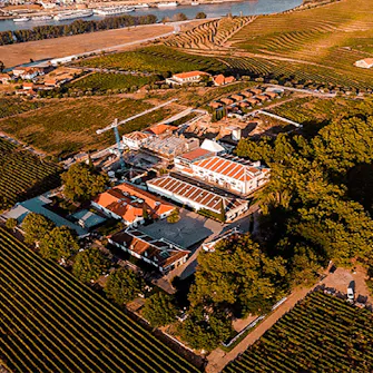 Quinta da Pacheca no Douro