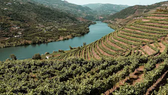 Douro