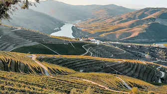 Miradouro de São Leonardo da Galafura