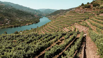 Paisagem do Douro