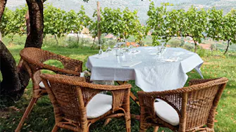 Quinta da Portela
