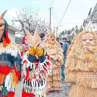 Carnaval de Lazarim