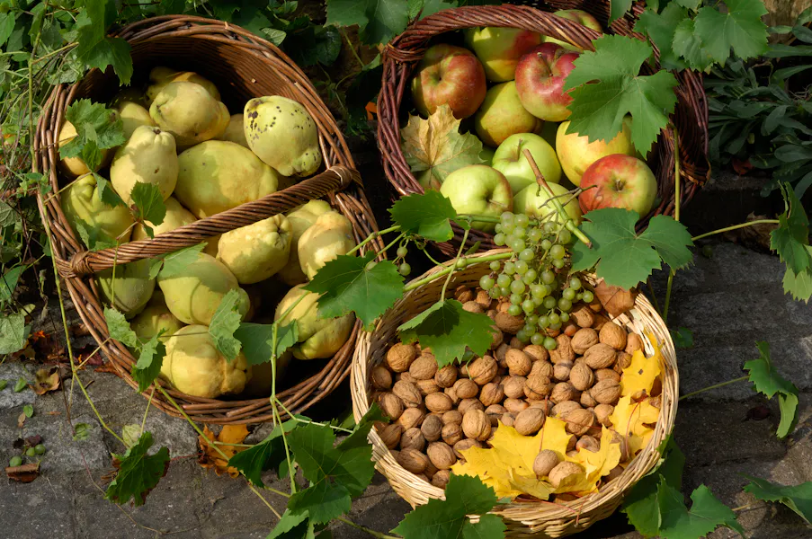 Autumn decoration by Mrs. Brimer Hotel-Restaurant Brimer Mullerthal