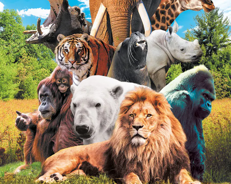 Hotel Brimer Mullerthal