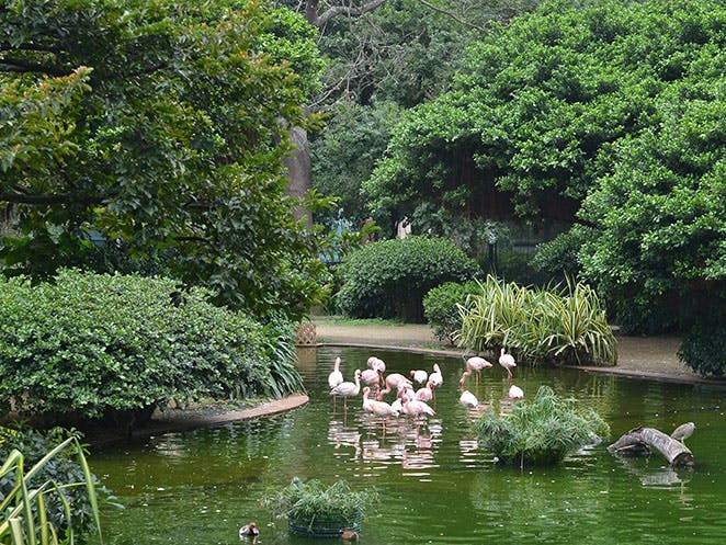 Kowloon Park, Tsim Sha Tsui