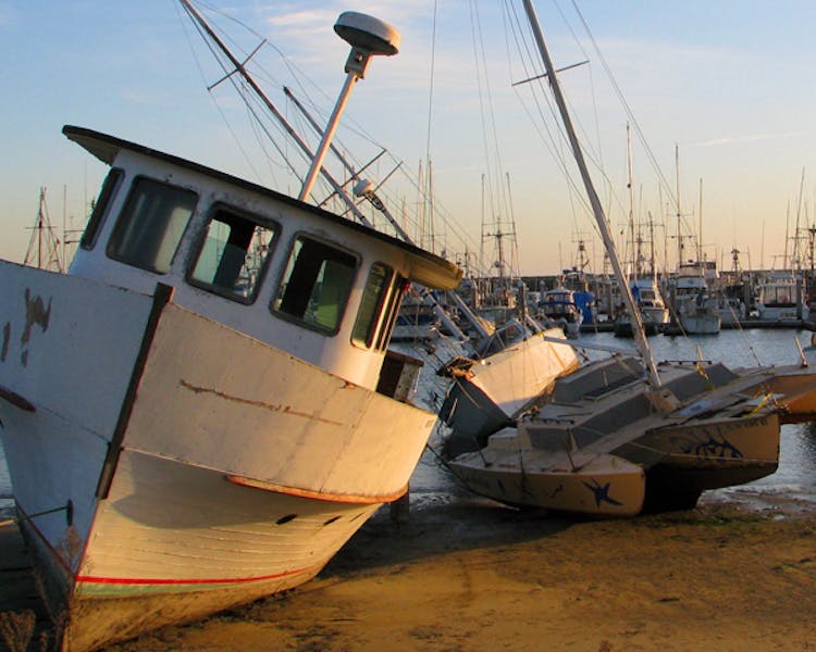 boats in harbor at low tide
