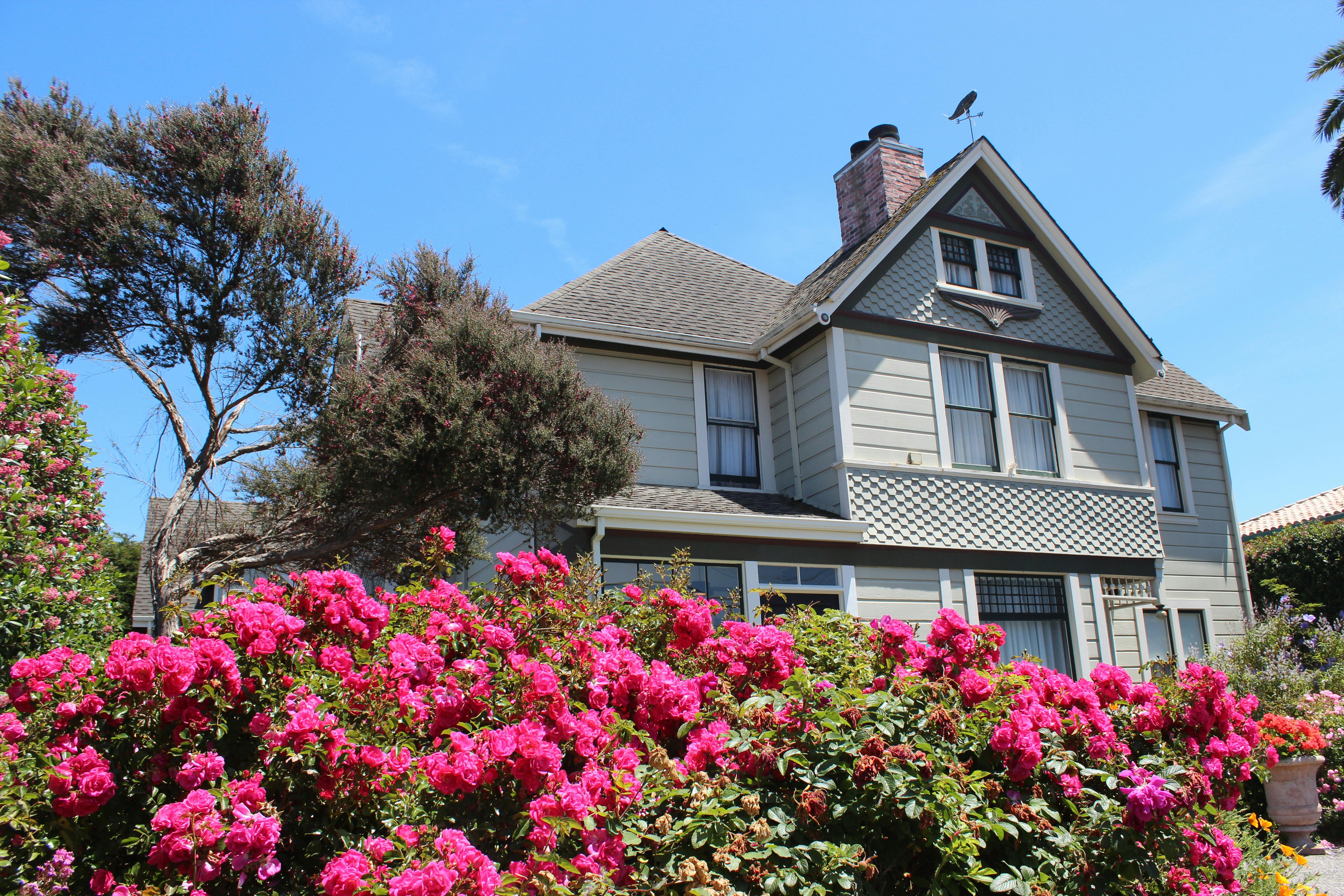 Flowers blooming in front gardens of Nantucket Whale Inn
