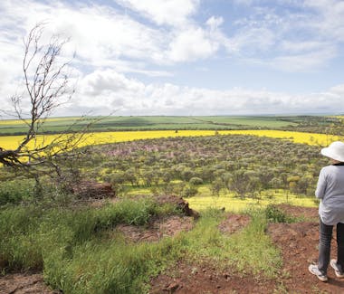 Midwest Adventure Tours