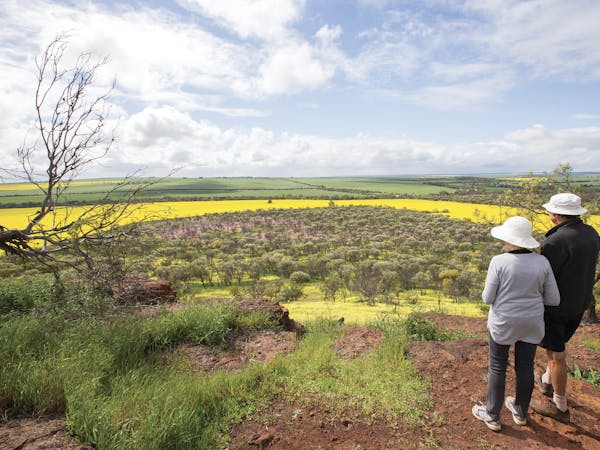 Midwest Adventure Tours