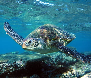 Discover WA's best keptholiday secrets