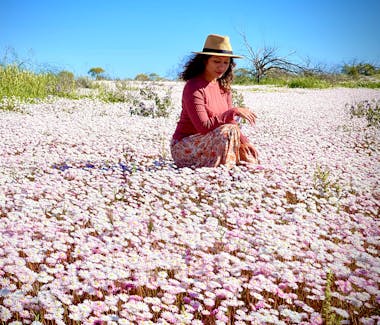 D'Guy Charters - Best of Midwest Wildflowers getaway