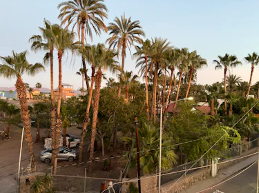 Our upstairs view. 1