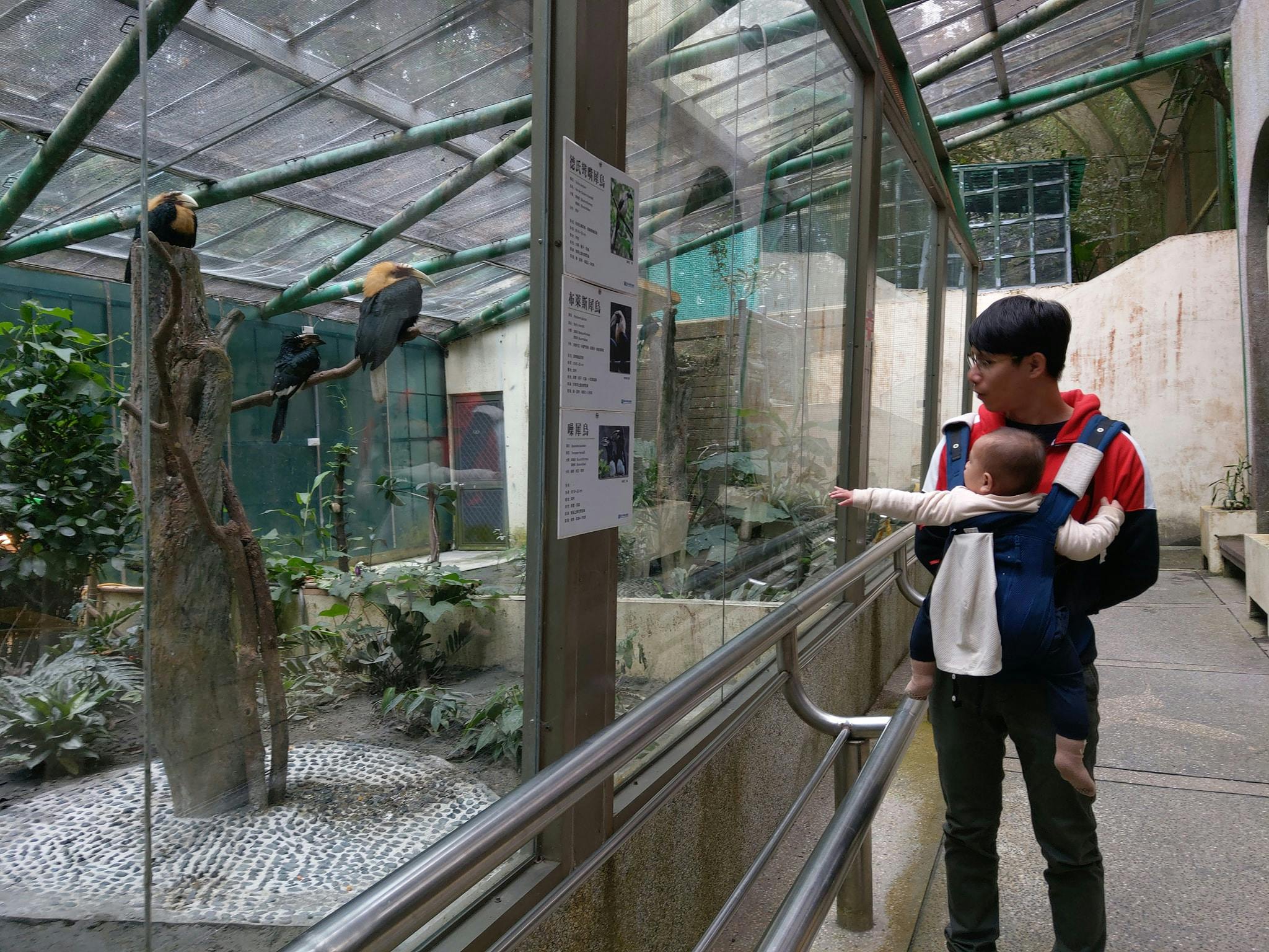 溪頭住宿推薦,溪頭民宿金台灣山莊,溪頭小木屋,杉林溪住宿推薦,週邊景點推薦,鳳凰谷鳥園,親子推薦景點