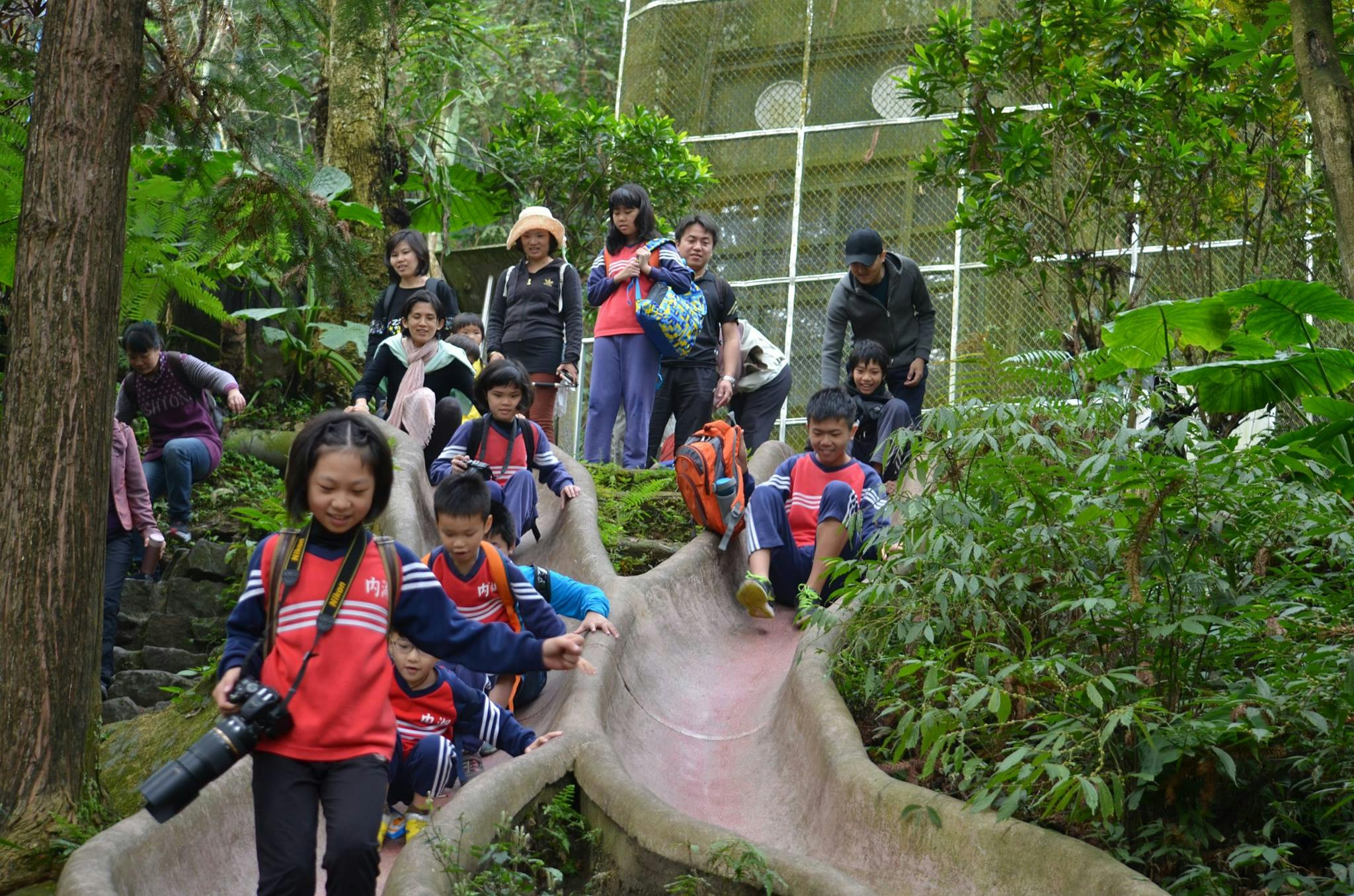 溪頭住宿推薦,溪頭民宿金台灣山莊,溪頭小木屋,杉林溪住宿推薦,週邊景點推薦,鳳凰谷鳥園,親子推薦景點,森林溜滑梯