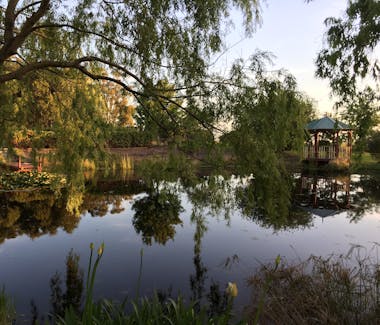 A beautiful sunset view of the lake at Loves Lane Cottages