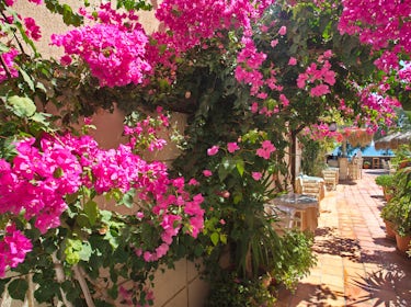 Hotel Gardens 1