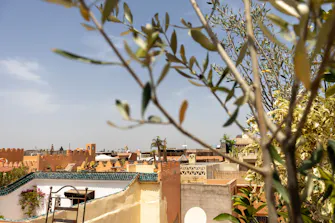 Terrasse ombragée