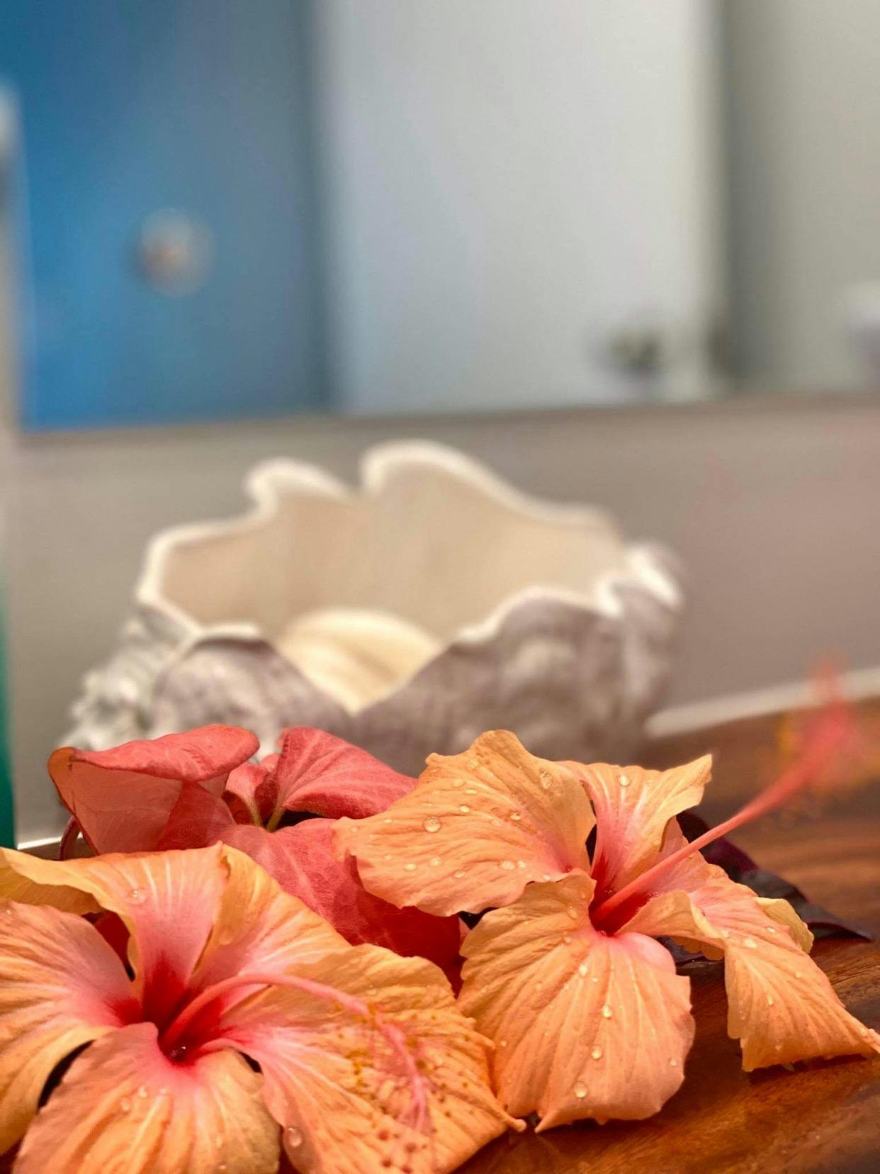 muri-beachcomber-rarotonga-flowers-hibiscus