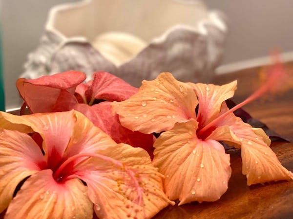 muri-beachcomber-rarotonga-flowers-hibiscus