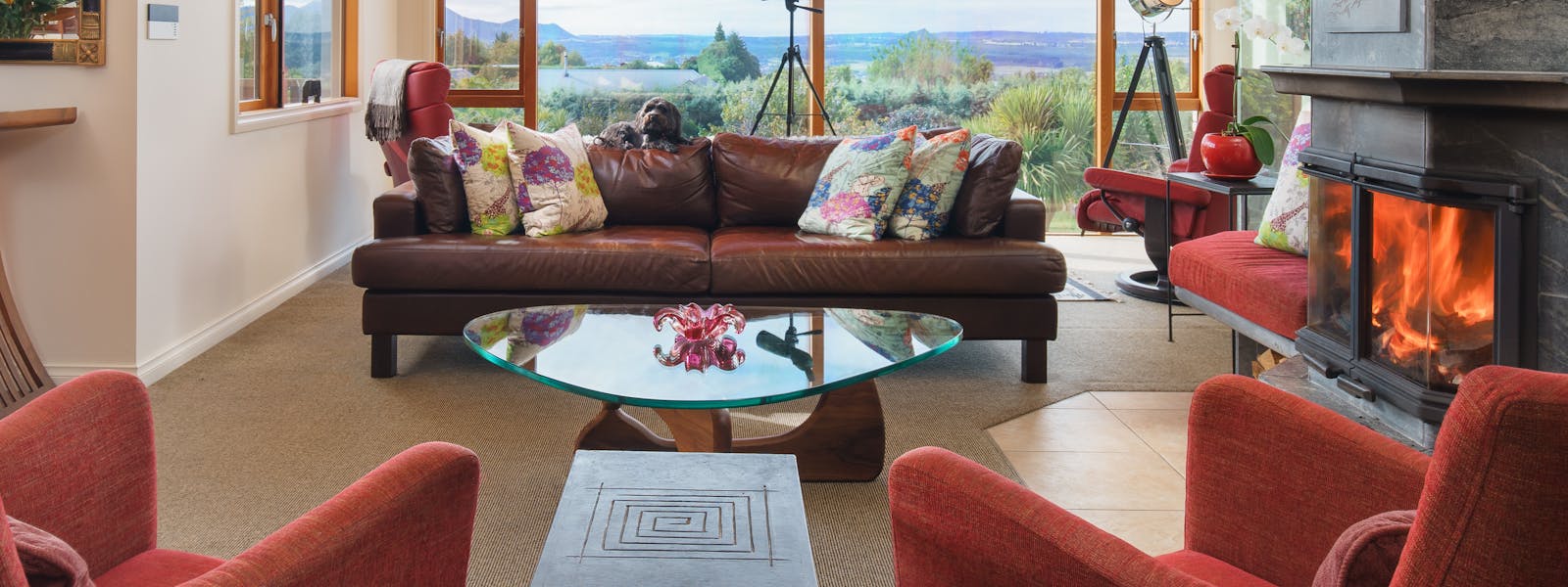 guest lounge with Bella the dog