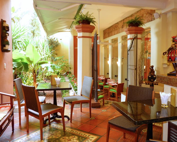 Restaurante Pelô Bistrô ambiente do bar com jardim
