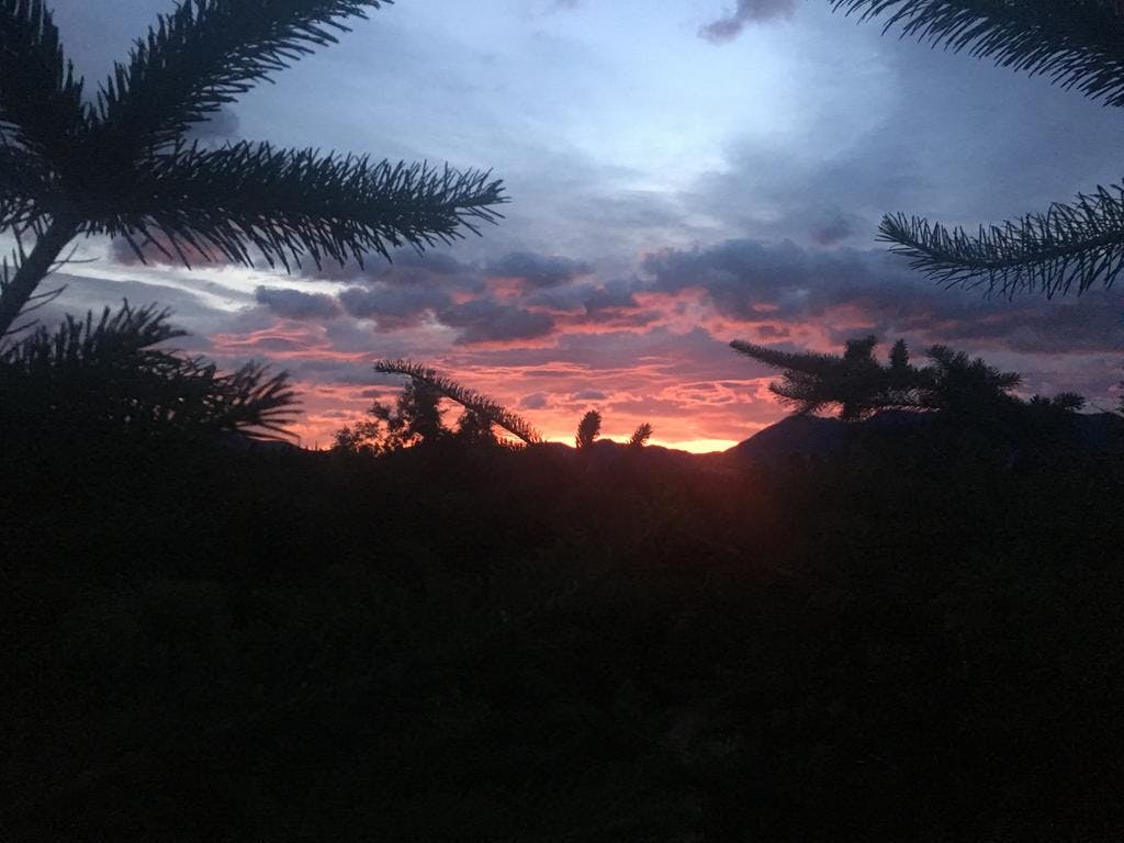 If you happen to be woken by the sound of the birds, perhaps look out of the bedroom window at the sunrise...........