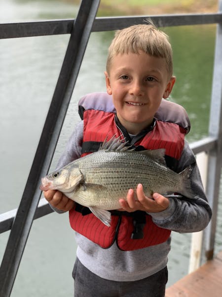little boy holding white bass table rock lake fishing