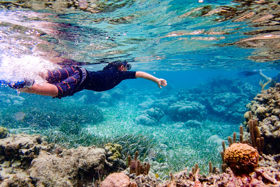 When Is the Best Time to Visit the Caribbean? - Ashton Court Belize