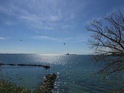 Mare di Taranto