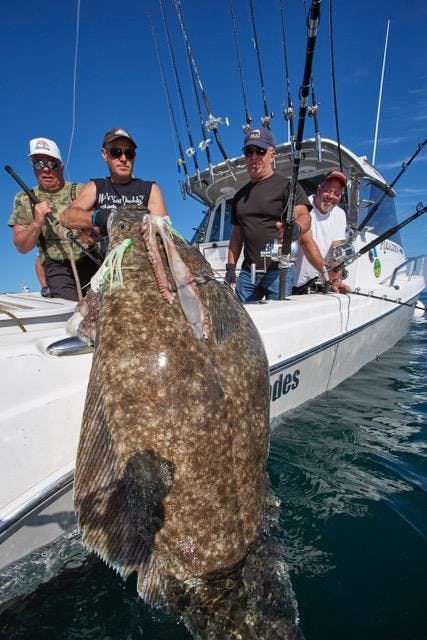 Fisherman posing with a monster halibut he caught while on an alaska saltwater fishing trip with Deep Creek Fishing Club.