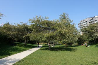 Parc arboré avec sentier piéton à Paris