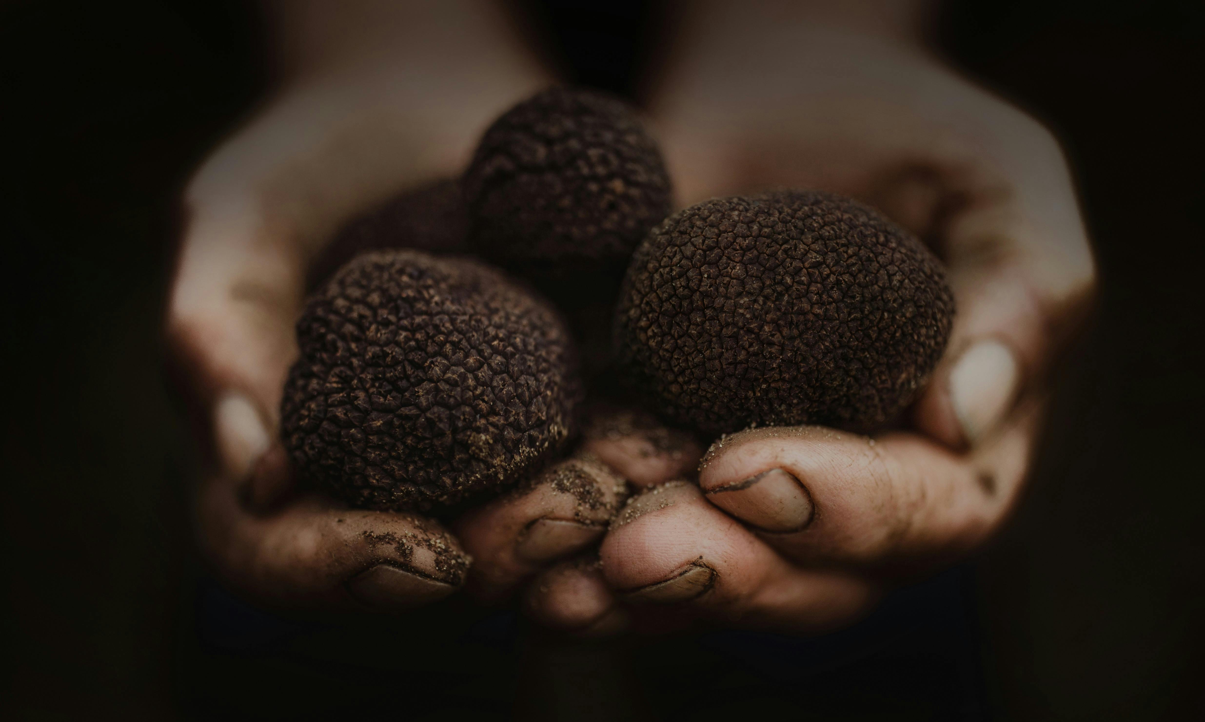 Margaret River truffles