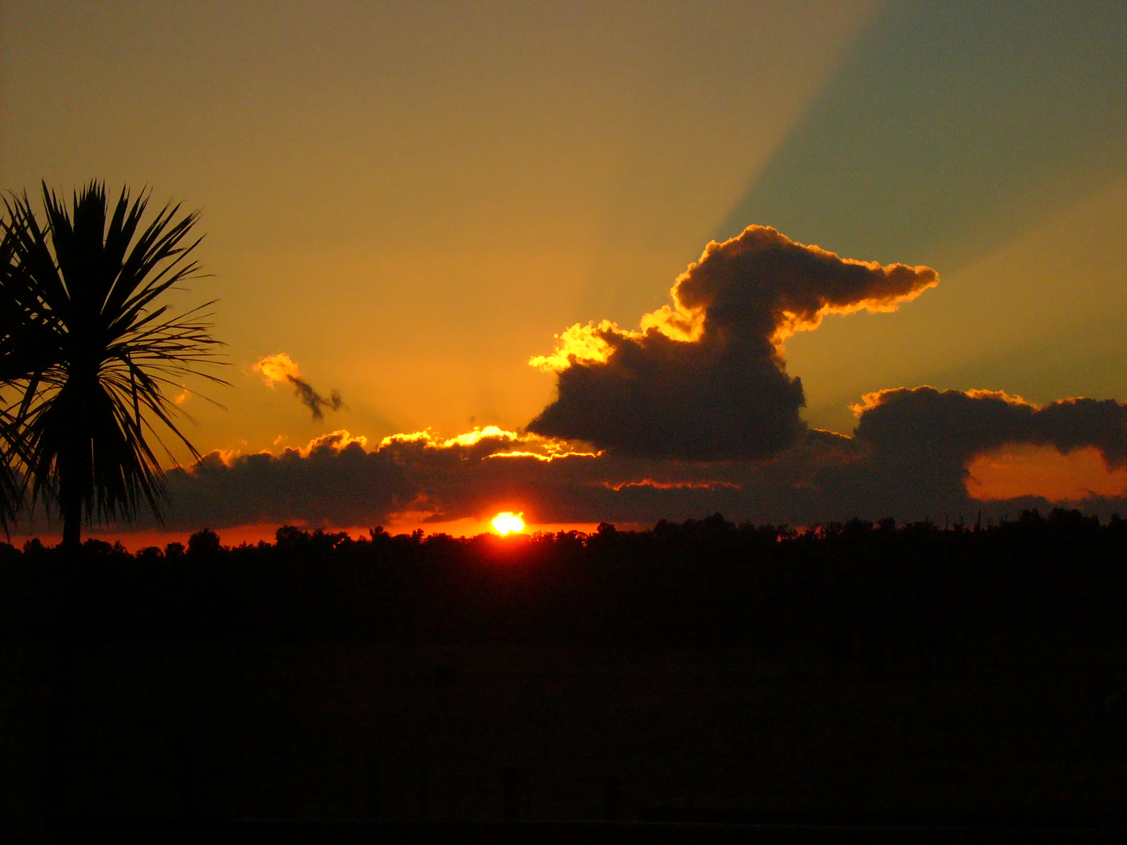 Summer time sunset