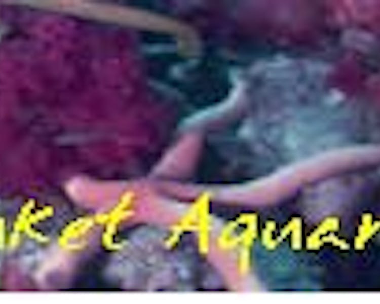 Phuket Aquarium