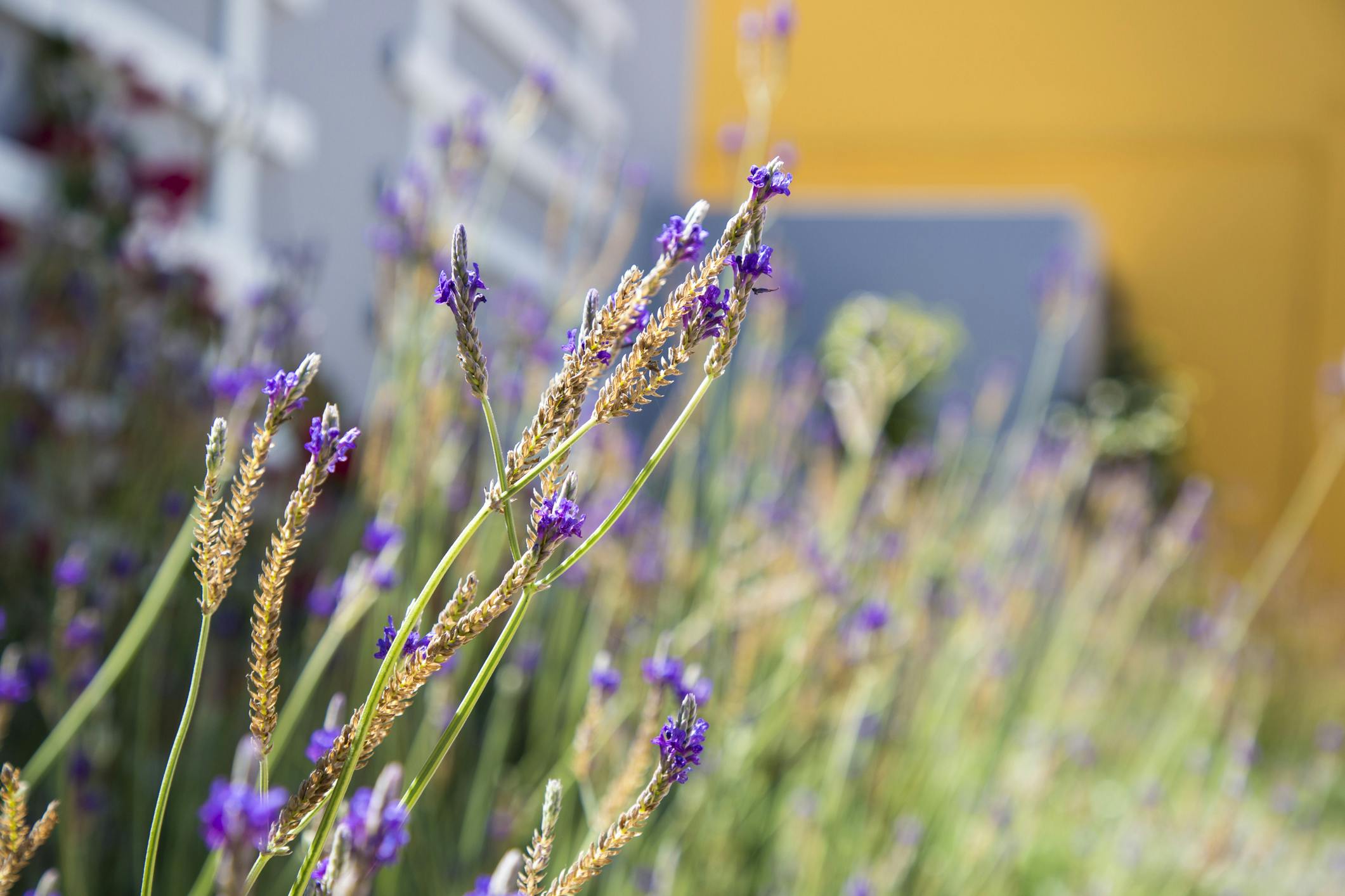 O jardim do Hotel Alcatruz aguarda-o para momentos de descanso.