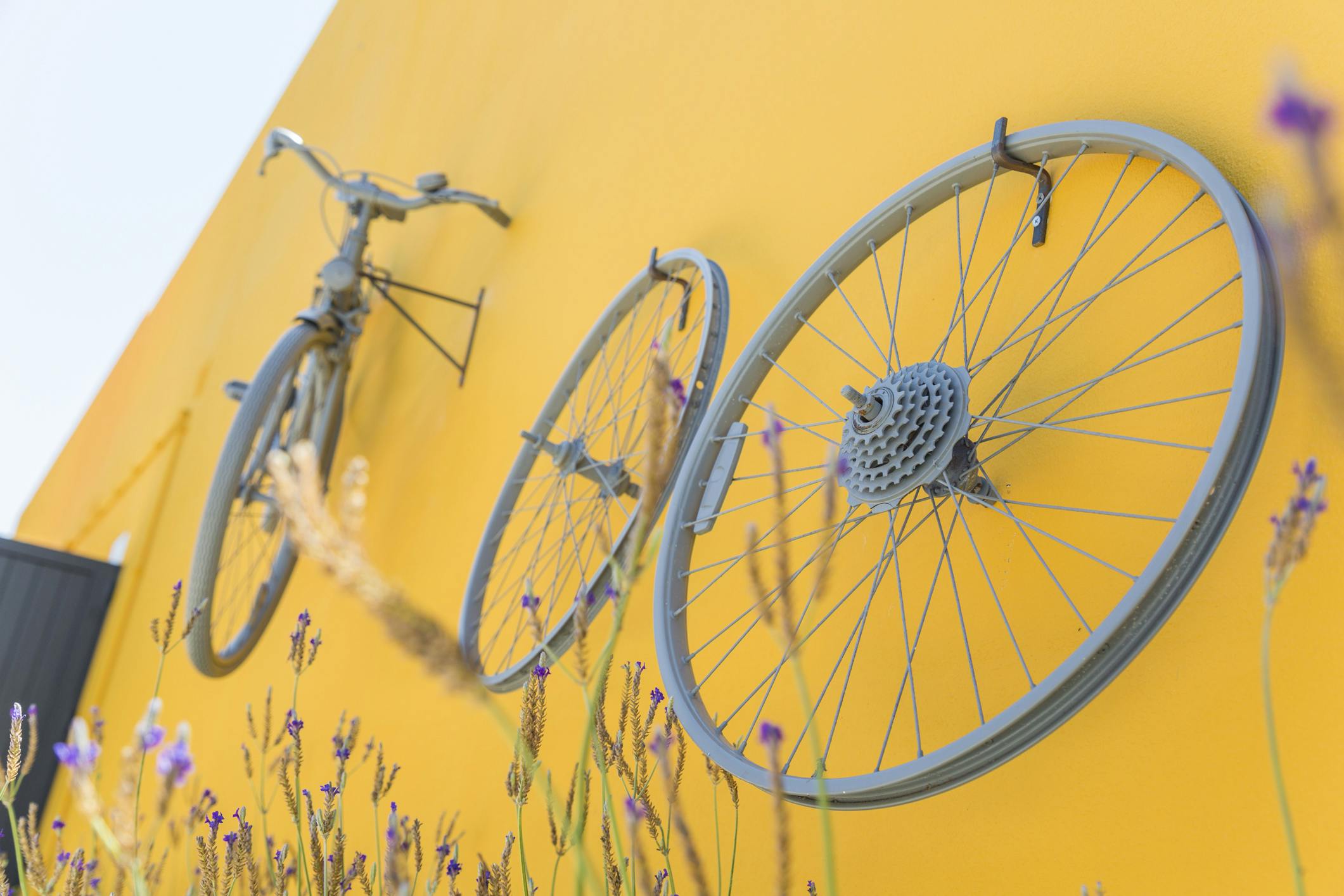 O Hotel Alcatruz é um bike hotel e no nosso jardim tem um espaço para guardar as suas bicicletas