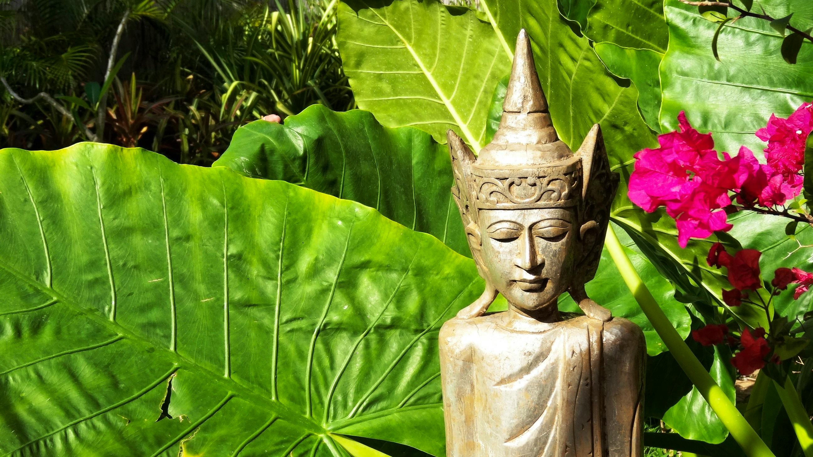 The Havannah, Vanuatu. Award winning Luxury resort for couples, romance, weddings and Honeymoon.
Spa garden