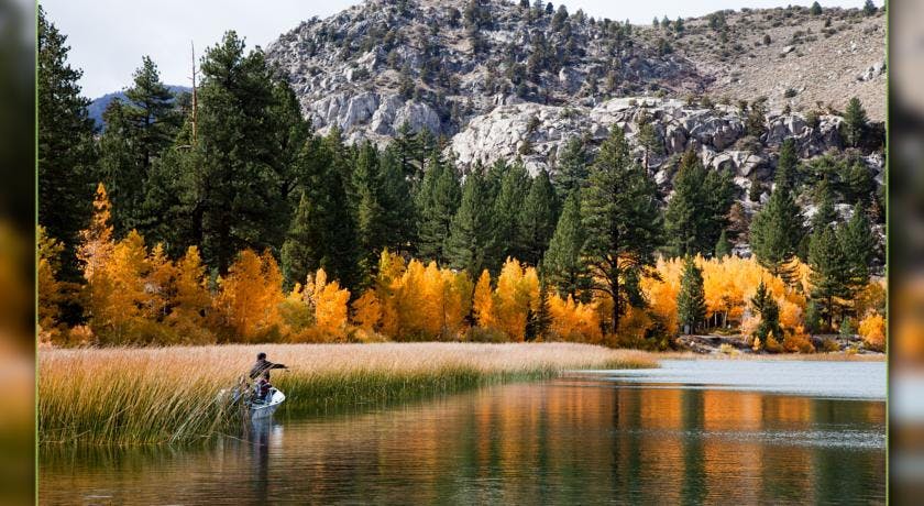 Fishing June Lake with the fall colors.