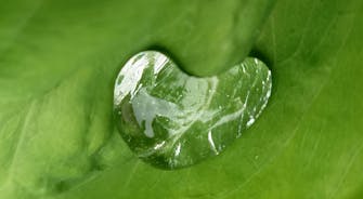 Silvered single rain drop shaped like a heart, on a green leaf.