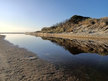 Planted sand dunes reflected in the still waters of Reedy Creek under blue sky. 1