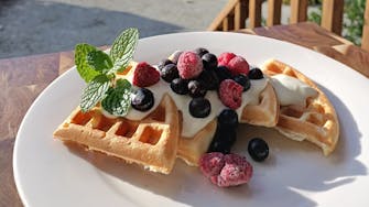 Four quarters of sweet waffle served on a white plate, splashed with whipped cream and fresh berries, with heathland garden.