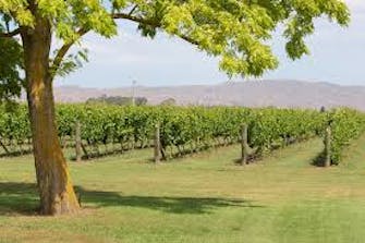Nelson Wineries