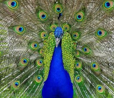 Natureland Zoo