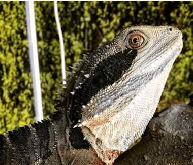 Natureland Zoo